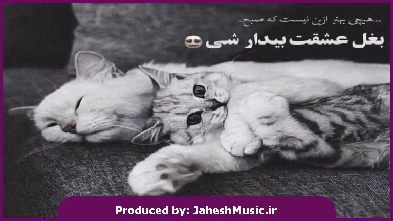دانلود آهنگ عربی یا داب داب 